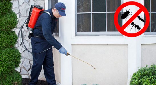 Bozkurt Kemirgen İlaçlama böcek ilaçlama ve haşere kontrolü — ilaclama-tr.com